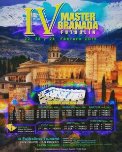 iv master granada