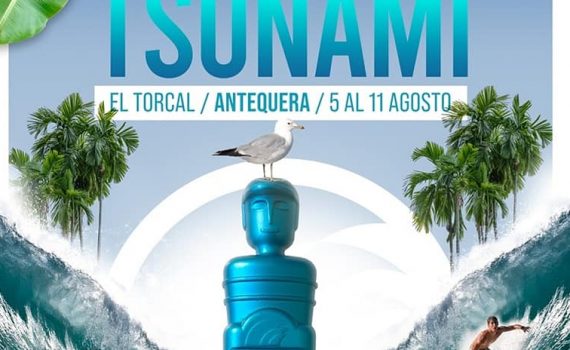 cartel aniversario ts
