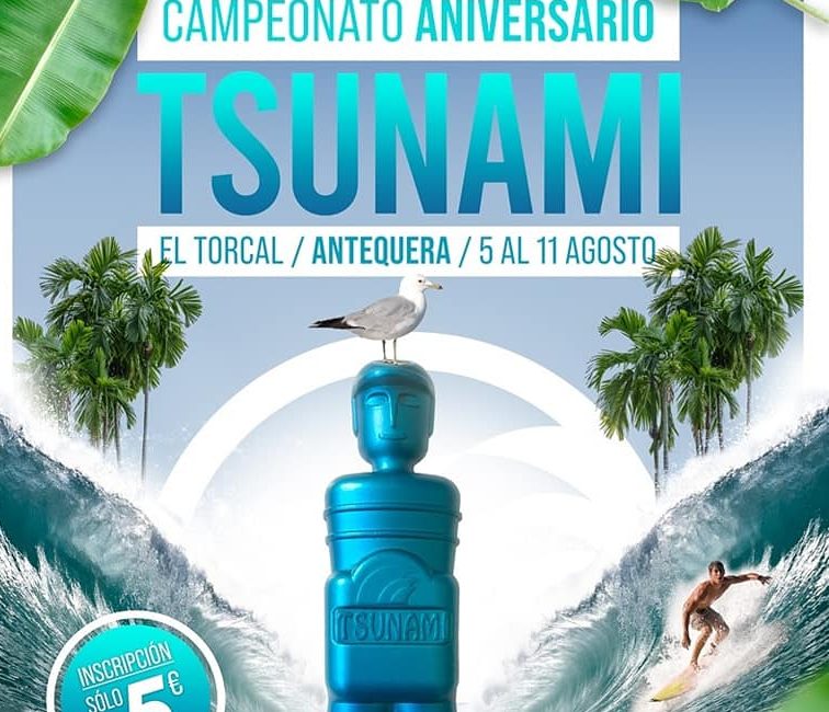 cartel aniversario ts